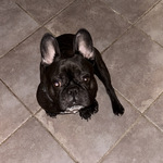 Fotka od hlídačky Linda 