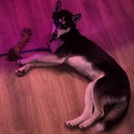 Fotka od hlídačky Linda 