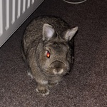 Fotka od hlídačky Linda 