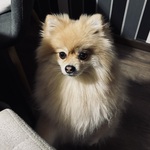 Fotka od hlídačky Linda 