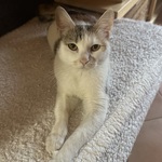 Fotka od hlídačky Yeva 