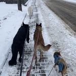 Fotka od hlídačky Zdeňka 