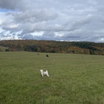 Fotka od hlídačky Zdeňka 