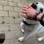 Fotka od hlídačky Tereza 