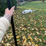 Fotka od hlídačky Tereza 