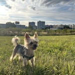 Fotka od hlídačky Lucie 