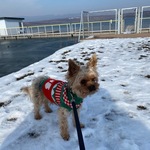 Fotka od hlídačky Lucie 