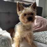 Fotka od hlídačky Lucie 