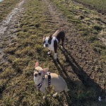 Photo from Nikola’s gallery