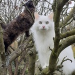 Fotka od hlídačky Alice 