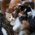 Fotka od hlídačky Alice 