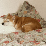 Fotka od hlídačky Kristýna 