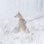 Fotka od hlídačky Kristýna 