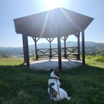 Photo from Veronika’s gallery