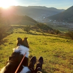 Photo from Veronika’s gallery