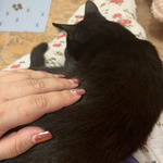 Fotka od hlídačky Lenka 