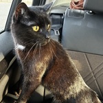 Fotka od hlídačky Renáta 