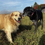 Fotka od hlídačky Renáta 