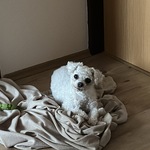 Fotka od hlídačky Maria 