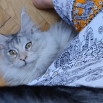 Fotka od hlídačky Maria 