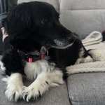 Fotka od hlídačky Karolína 