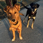 Fotka od hlídačky Karolína 