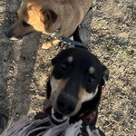 Fotka od hlídačky Karolína 