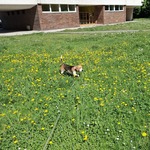 Fotka od hlídačky Eliška 