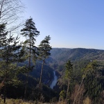 Fotka od hlídačky Nikola 