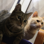 Fotka od hlídačky Alena 