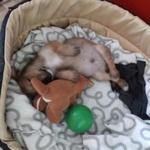 Fotka od hlídačky Adriana 