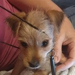 Fotka od hlídačky Adriana 