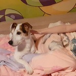 Fotka od hlídačky Adriana 