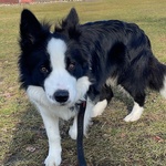 Fotka od hlídačky Eva 