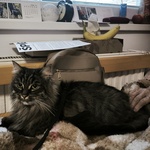 Fotka od hlídačky Milada 