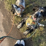 Photo from Šarlota’s gallery