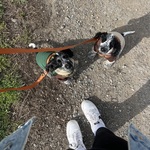 Photo from Šarlota’s gallery