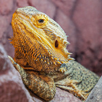 Photo from Michaela’s gallery