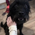 Photo from Renáta’s gallery