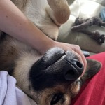 Photo from Renáta’s gallery