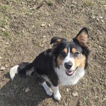 Fotka od hlídačky Petra 