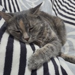 Fotka od hlídačky Petra 