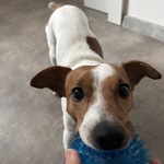 Fotka od hlídačky Julie 