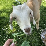 Fotka od hlídačky Nela 