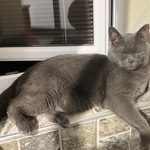 Fotka od hlídačky Nela 