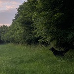 Fotka od hlídačky Nela 