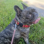 Photo from Tereza’s gallery