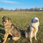 Photo from Tereza’s gallery