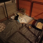 Photo from Tereza’s gallery