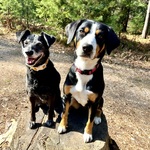 Photo from Martina’s gallery